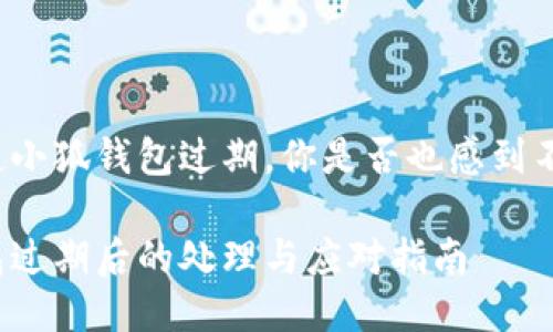 每當(dāng)提起小狐錢包過期，你是否也感到不知所措？

小狐錢包過期后的處理與應(yīng)對(duì)指南