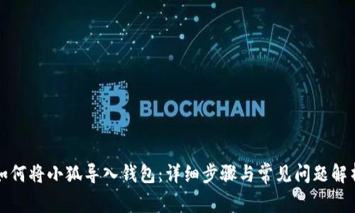 如何將小狐導(dǎo)入錢包:詳細(xì)步驟與常見問題解析