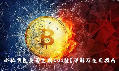 小狐錢包是否支持DOT鏈？詳解及使用指南