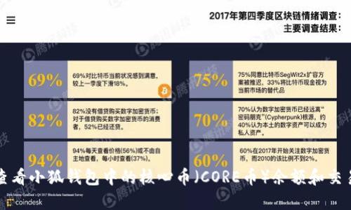 如何查看小狐錢包中的核心幣(CORE幣)余額和交易歷史