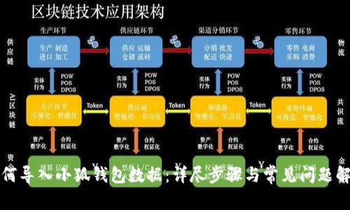 如何導(dǎo)入小狐錢包數(shù)據(jù):詳盡步驟與常見問題解答