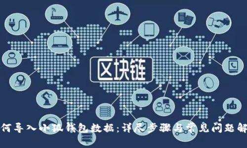 如何導(dǎo)入小狐錢包數(shù)據(jù):詳盡步驟與常見問題解答