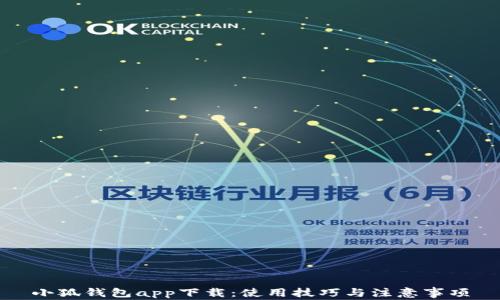 小狐錢(qián)包app下載:使用技巧與注意事項(xiàng)