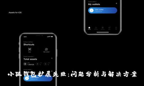 小狐錢包擴(kuò)展失?。簡栴}分析與解決方案